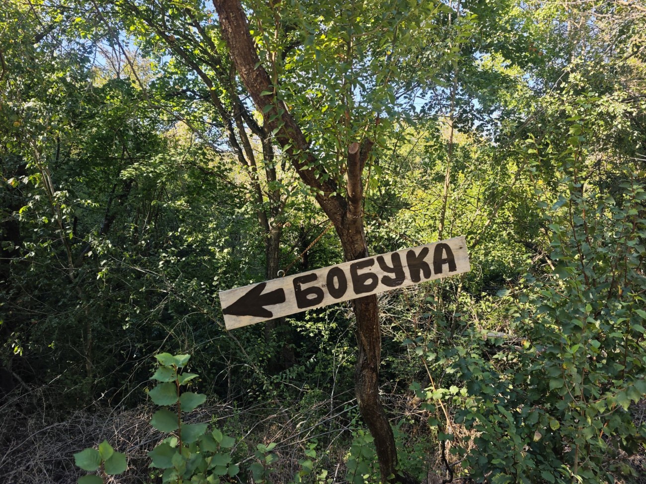 Табела към водопад Бобука край село Бела сред гъста растителност