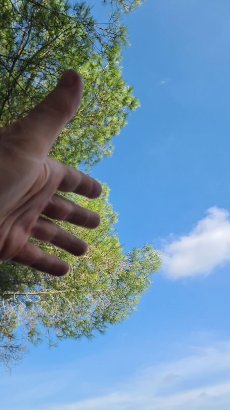 &nbsp;